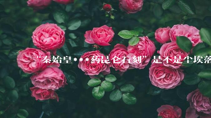 “秦始皇***药昆仑石刻”是不是尘埃落定了？